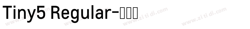 Tiny5 Regular字体转换